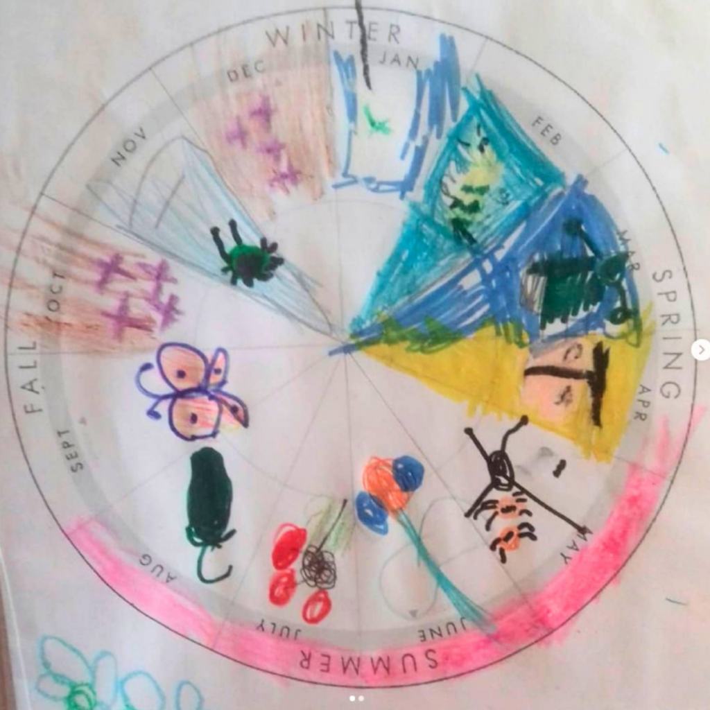 My year in nature | Phenology Wheel for families, a photograph of a phenology wheel completed by a small child