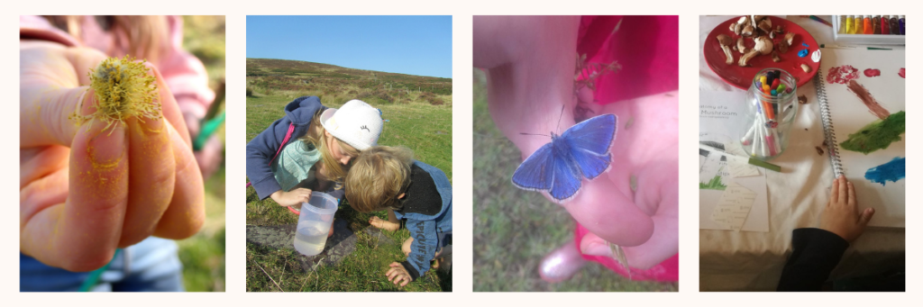 A selection if images showing children exploring and recording nature discoveries across the year and seasons