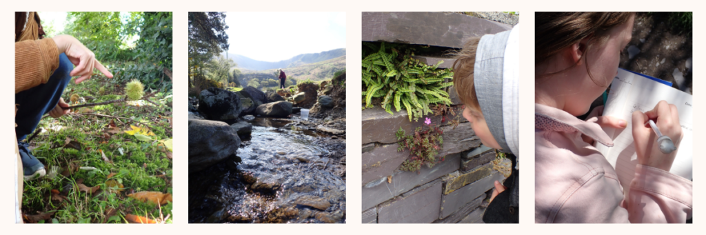 Images of children exploring nature on a 5 sense nature walk, touching a horse chesnut, hearing the river run, seeing flowers and writing notes about how they feel