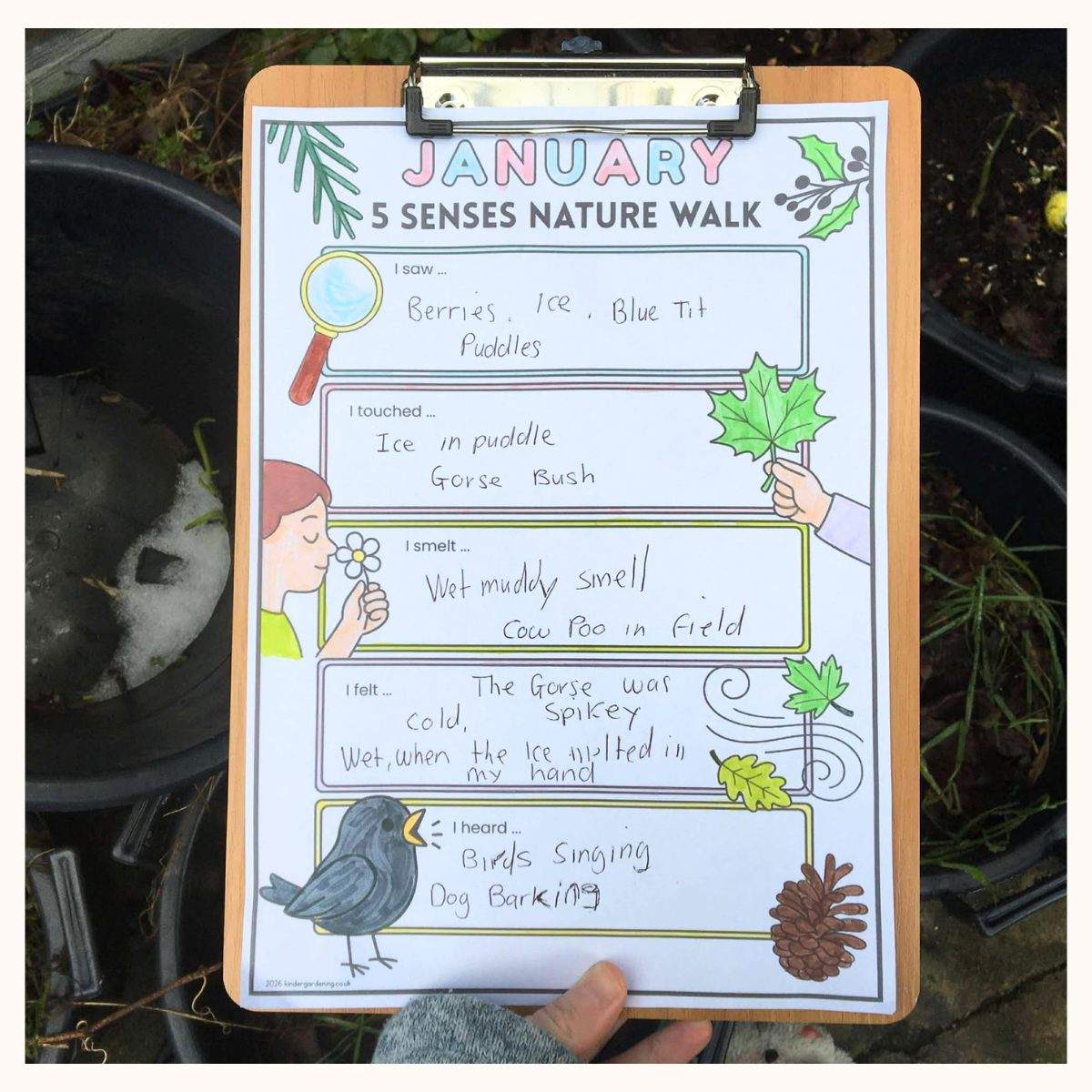 January 5 senses Nature Walk Free printable activity sheet.